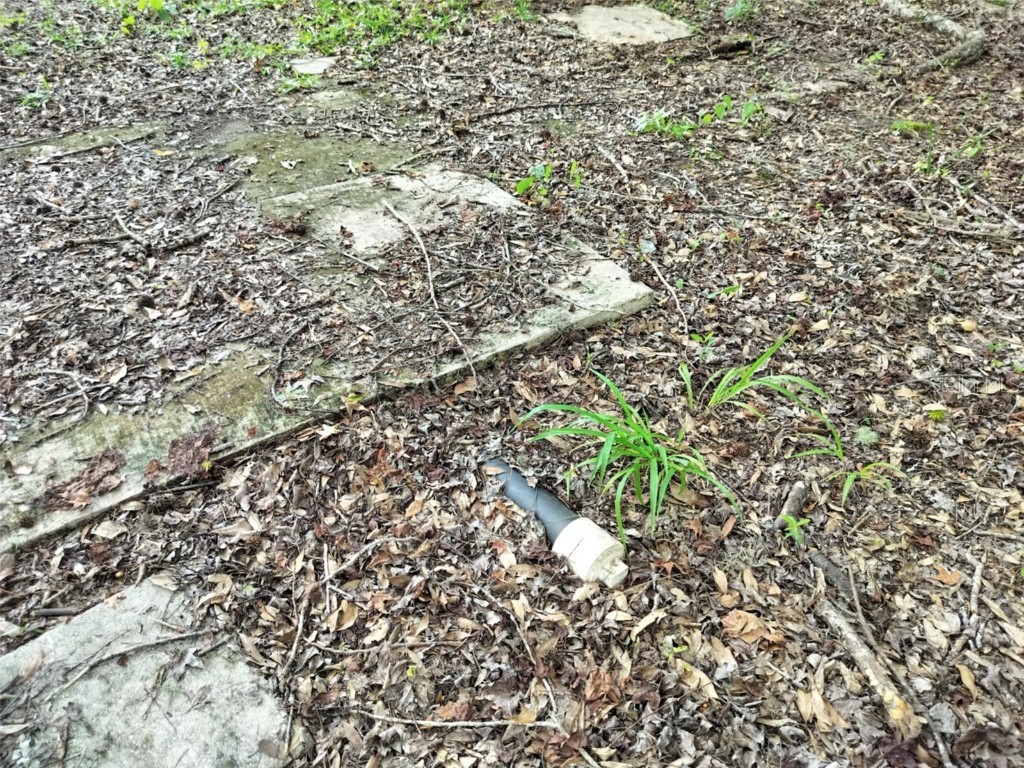 523 S Tuck Point Inverness FL 34450 - CANAL / WITHLACOOCHEE RIVER TB8411869 image10