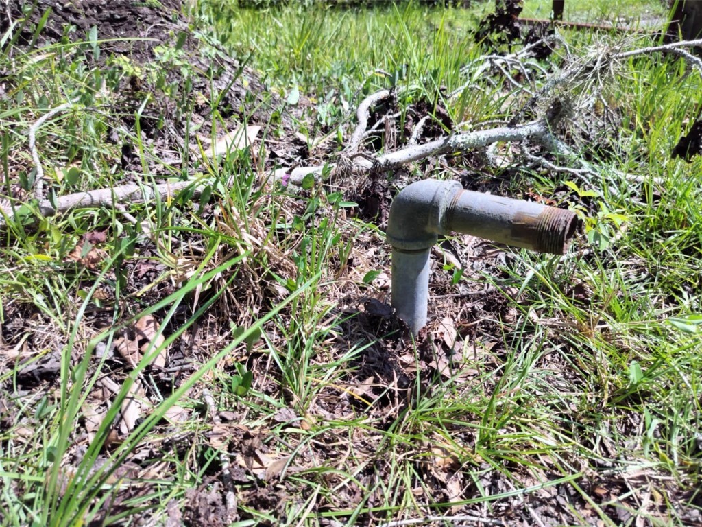 523 S Tuck Point Inverness FL 34450 - CANAL / WITHLACOOCHEE RIVER TB8411869 image11