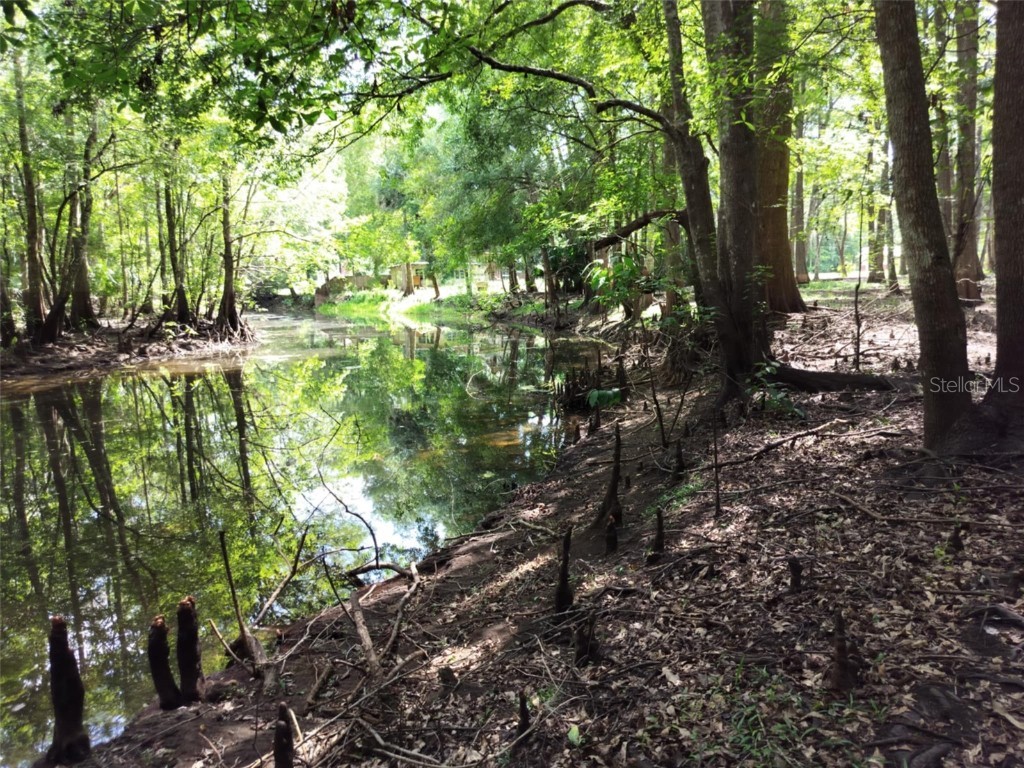 523 S Tuck Point Inverness FL 34450 - CANAL / WITHLACOOCHEE RIVER TB8411869 image12