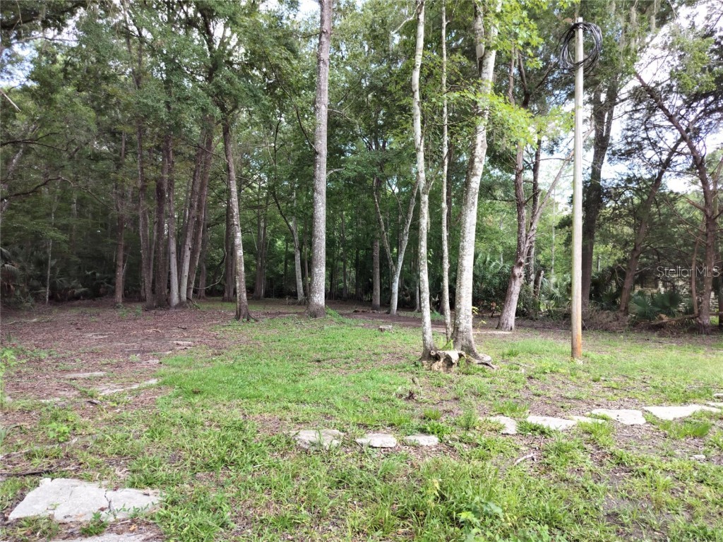 523 S Tuck Point Inverness FL 34450 - CANAL / WITHLACOOCHEE RIVER TB8411869 image14