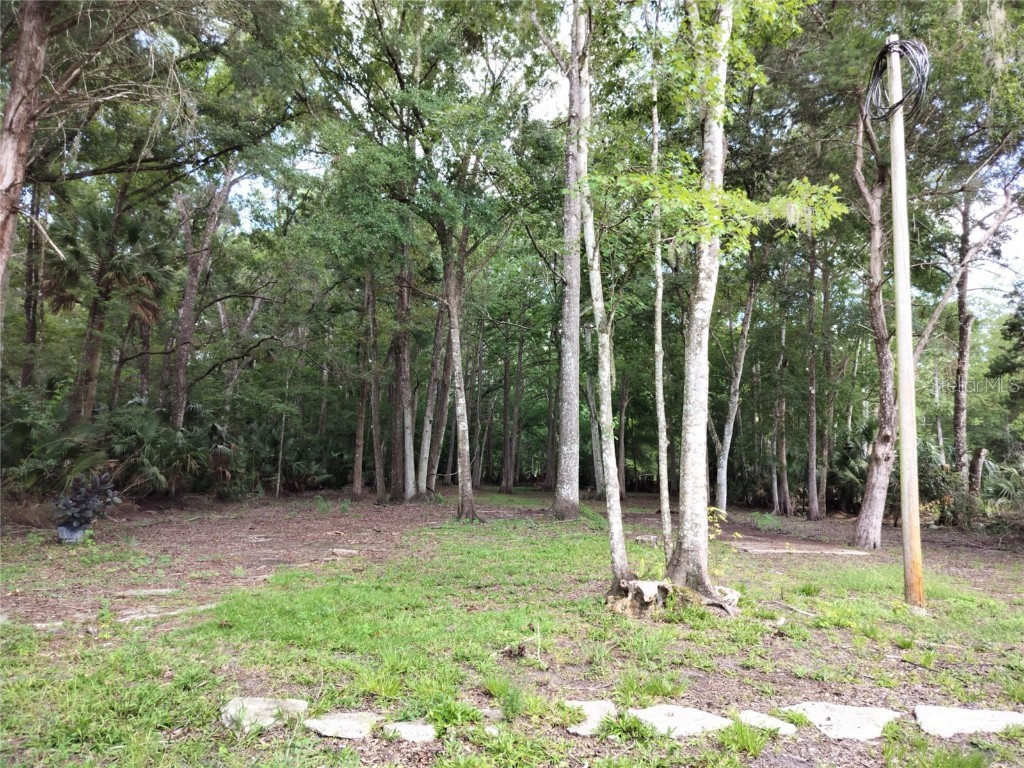 523 S Tuck Point Inverness FL 34450 - CANAL / WITHLACOOCHEE RIVER TB8411869 image15