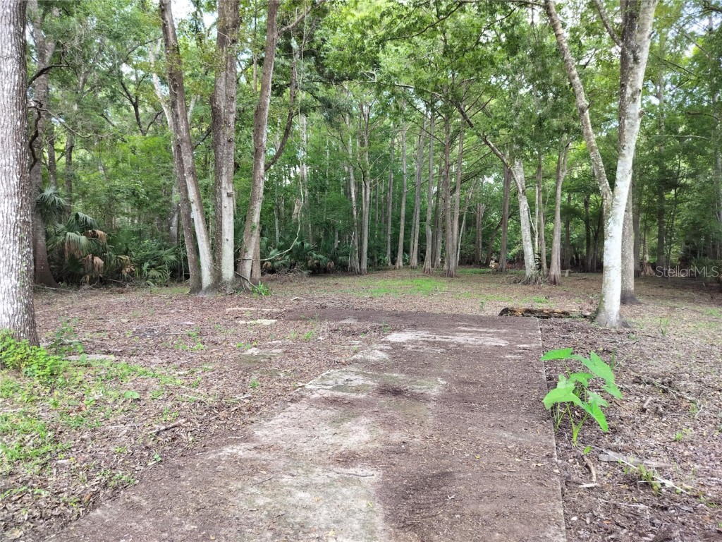 523 S Tuck Point Inverness FL 34450 - CANAL / WITHLACOOCHEE RIVER TB8411869 image16