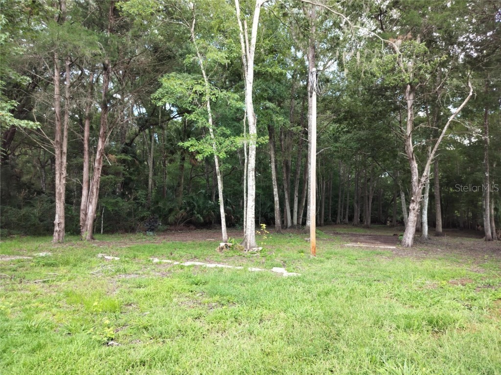 523 S Tuck Point Inverness FL 34450 - CANAL / WITHLACOOCHEE RIVER TB8411869 image19