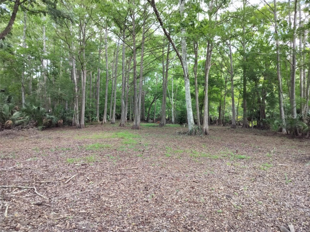 523 S Tuck Point Inverness FL 34450 - CANAL / WITHLACOOCHEE RIVER TB8411869 image20