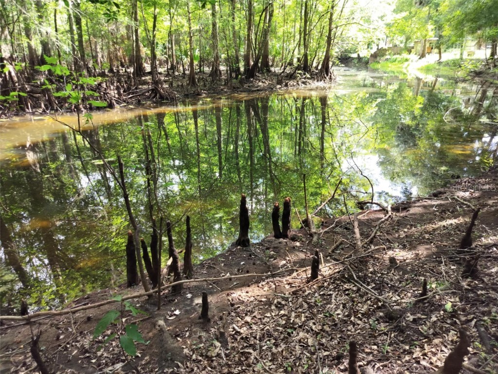 523 S Tuck Point Inverness FL 34450 - CANAL / WITHLACOOCHEE RIVER TB8411869 image21