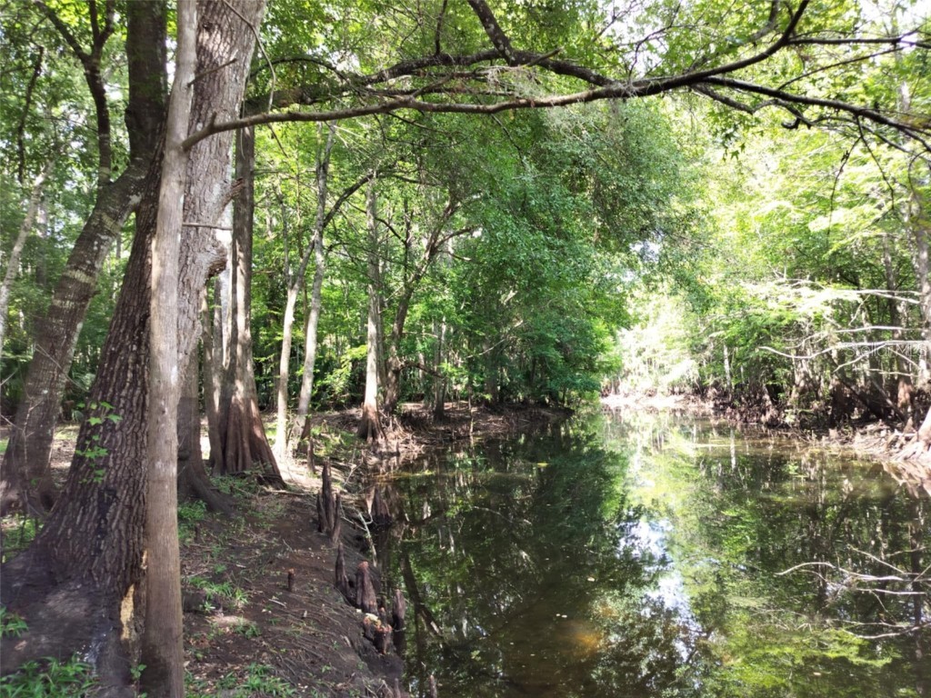 523 S Tuck Point Inverness FL 34450 - CANAL / WITHLACOOCHEE RIVER TB8411869 image23