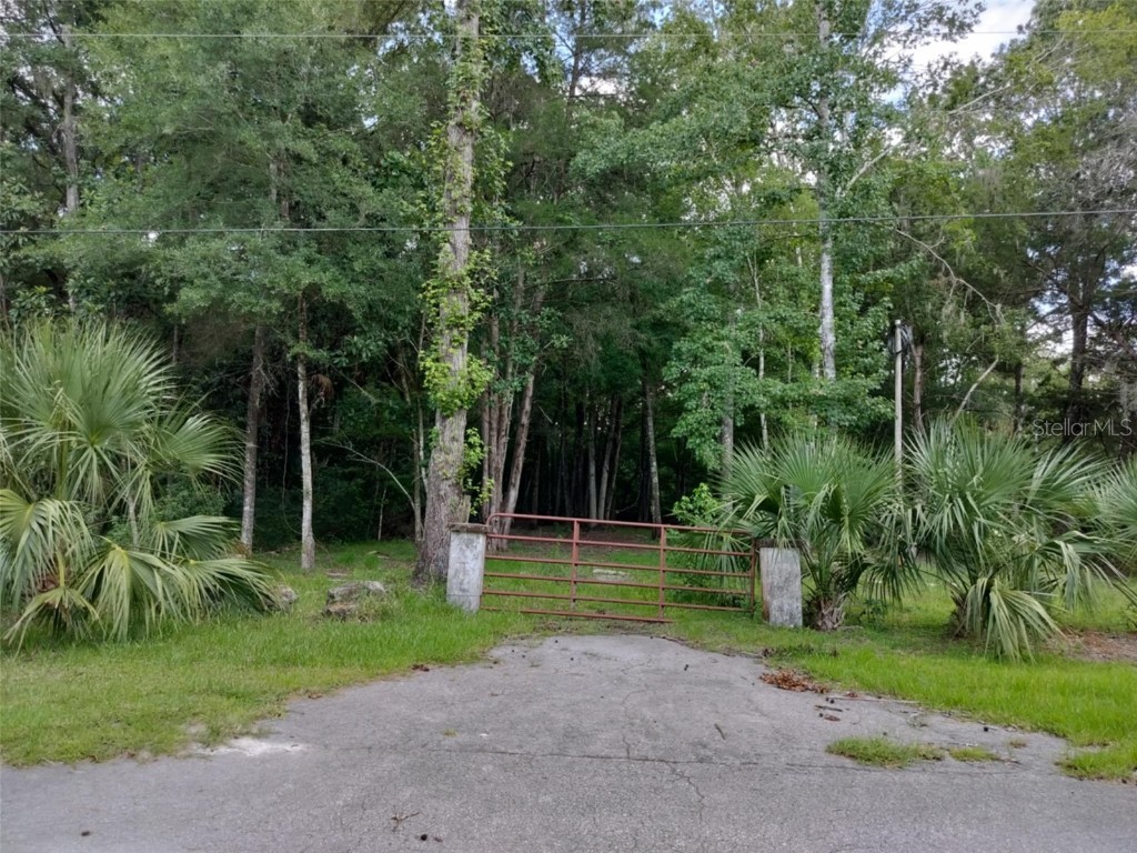 523 S Tuck Point Inverness FL 34450 - CANAL / WITHLACOOCHEE RIVER TB8411869 image24