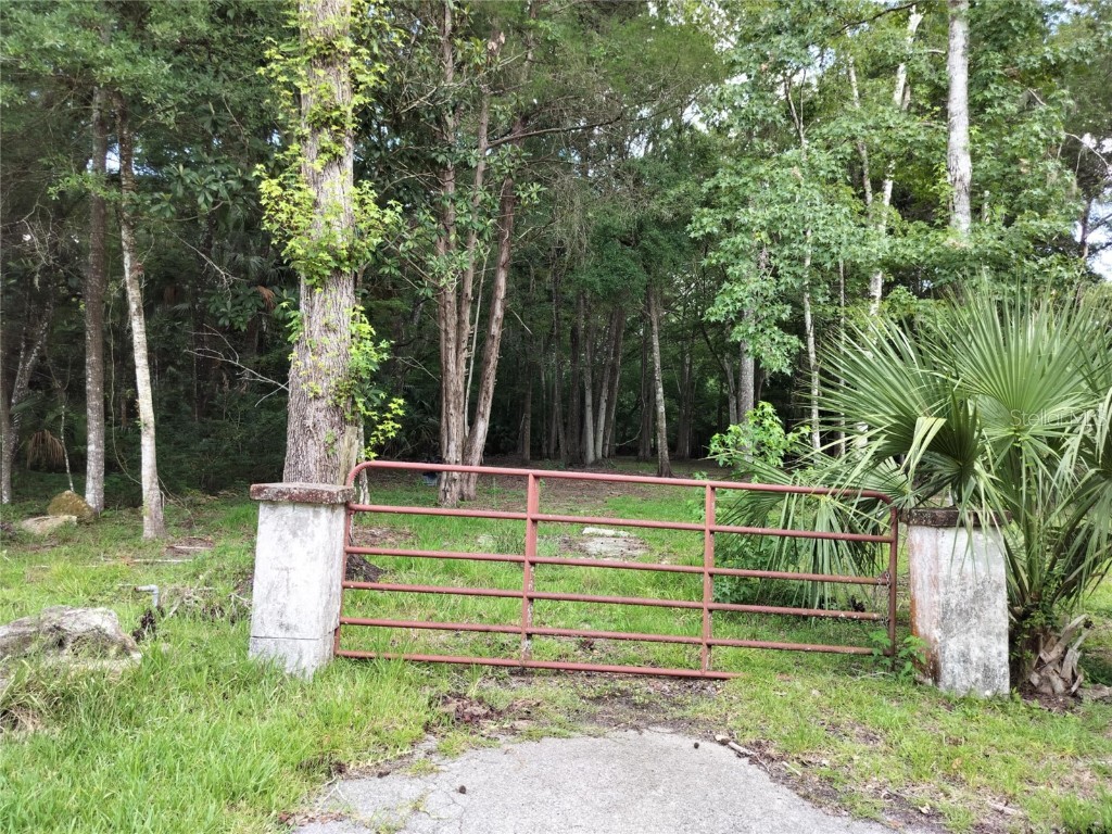 523 S Tuck Point Inverness FL 34450 - CANAL / WITHLACOOCHEE RIVER TB8411869 image25