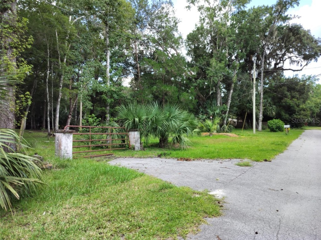 523 S Tuck Point Inverness FL 34450 - CANAL / WITHLACOOCHEE RIVER TB8411869 image26