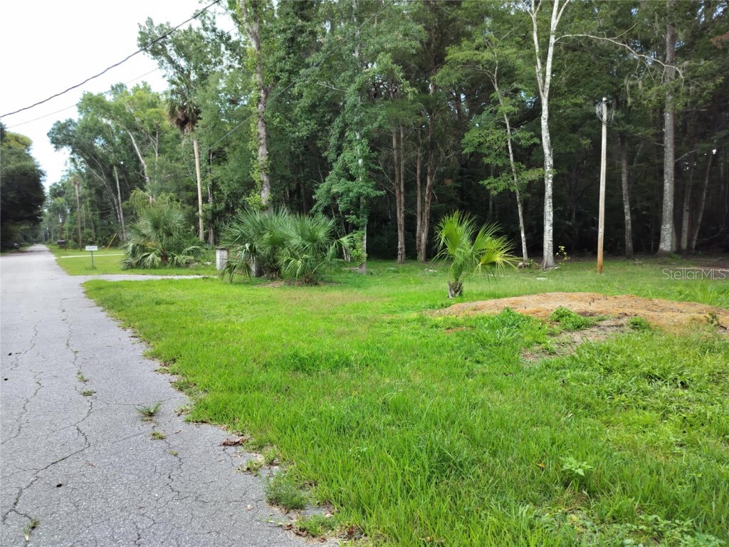 523 S Tuck Point Inverness FL 34450 - CANAL / WITHLACOOCHEE RIVER TB8411869 image27