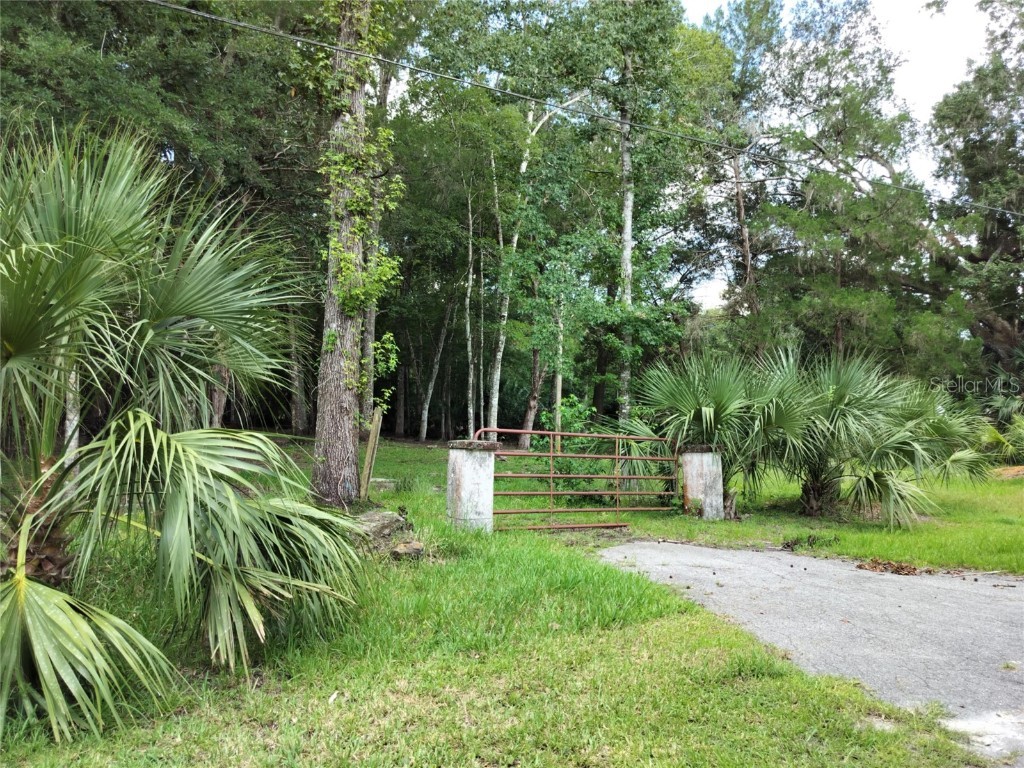 523 S Tuck Point Inverness FL 34450 - CANAL / WITHLACOOCHEE RIVER TB8411869 image3