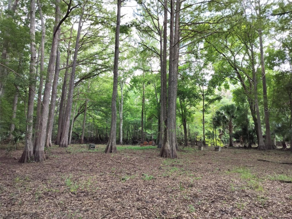 523 S Tuck Point Inverness FL 34450 - CANAL / WITHLACOOCHEE RIVER TB8411869 image4