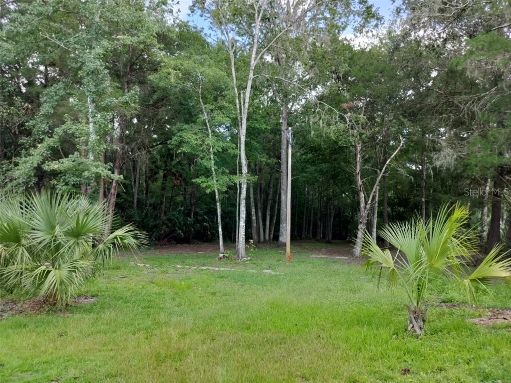 523 S Tuck Point Inverness FL 34450 - CANAL / WITHLACOOCHEE RIVER TB8411869 image7