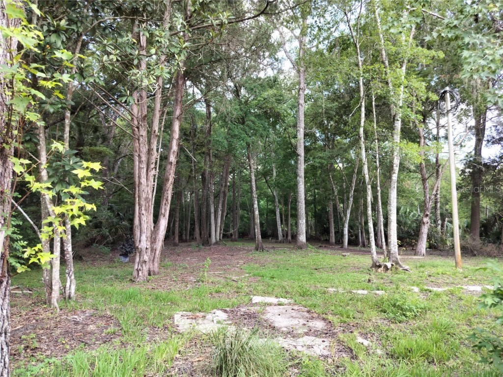 523 S Tuck Point Inverness FL 34450 - CANAL / WITHLACOOCHEE RIVER TB8411869 image8