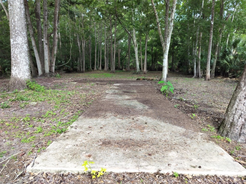 523 S Tuck Point Inverness FL 34450 - CANAL / WITHLACOOCHEE RIVER TB8411869 image9