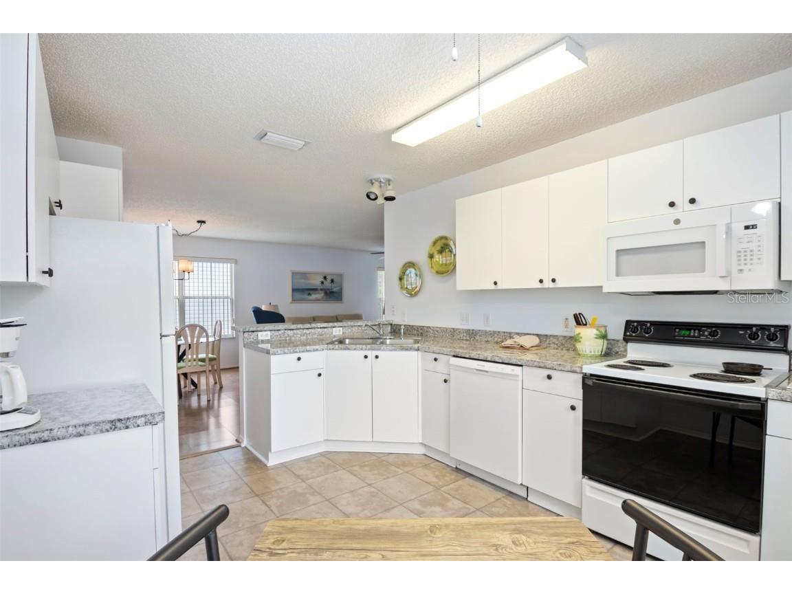 523 San Pedro Drive The Villages FL 32159 OM712785 image8