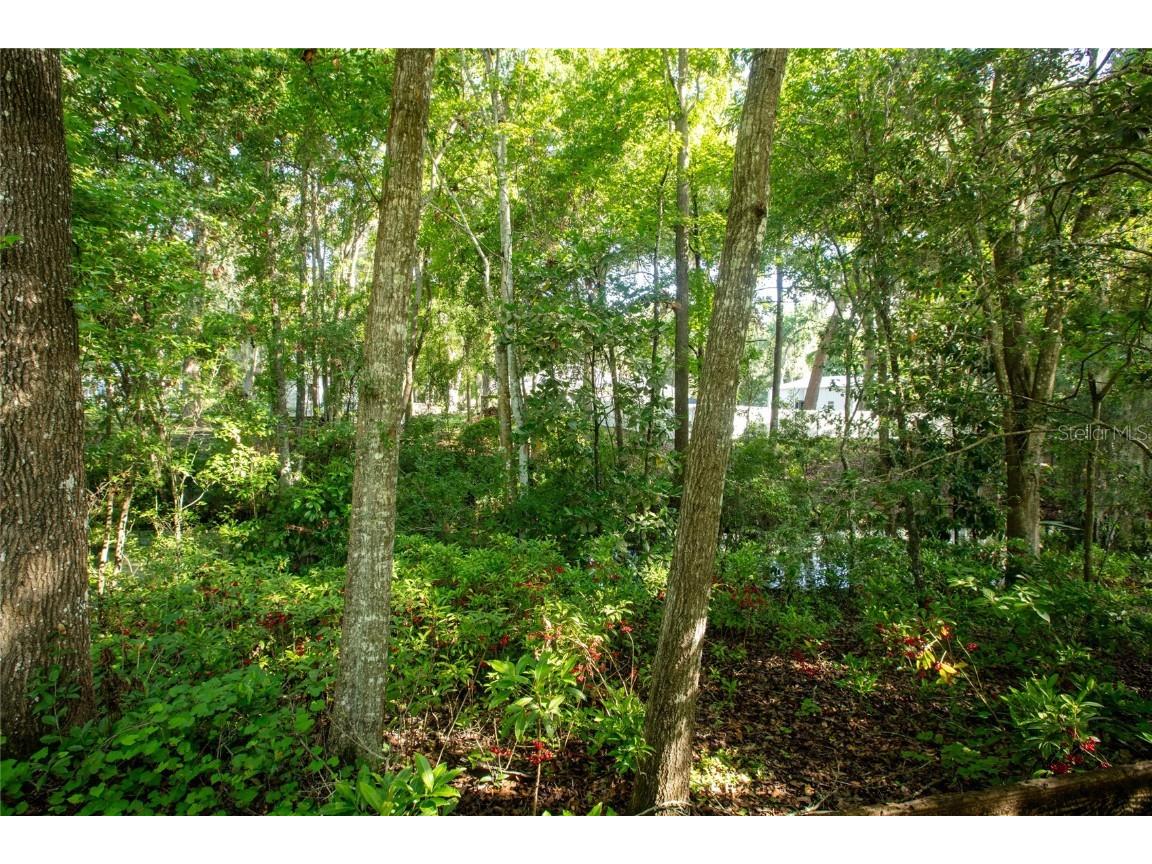 523 SE 28th Way Melrose FL 32666 - GENEVA CREEK GC532162 image9