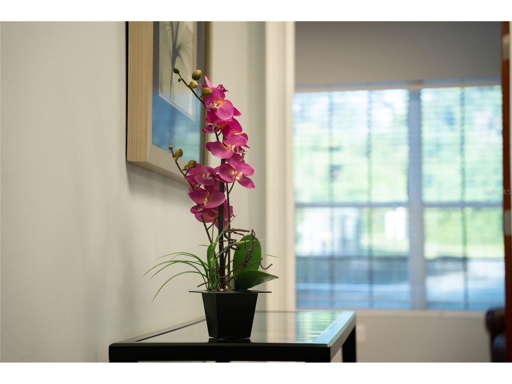 523 Wekiva Commons Circle #4 Apopka FL 32712 O6374306 image8
