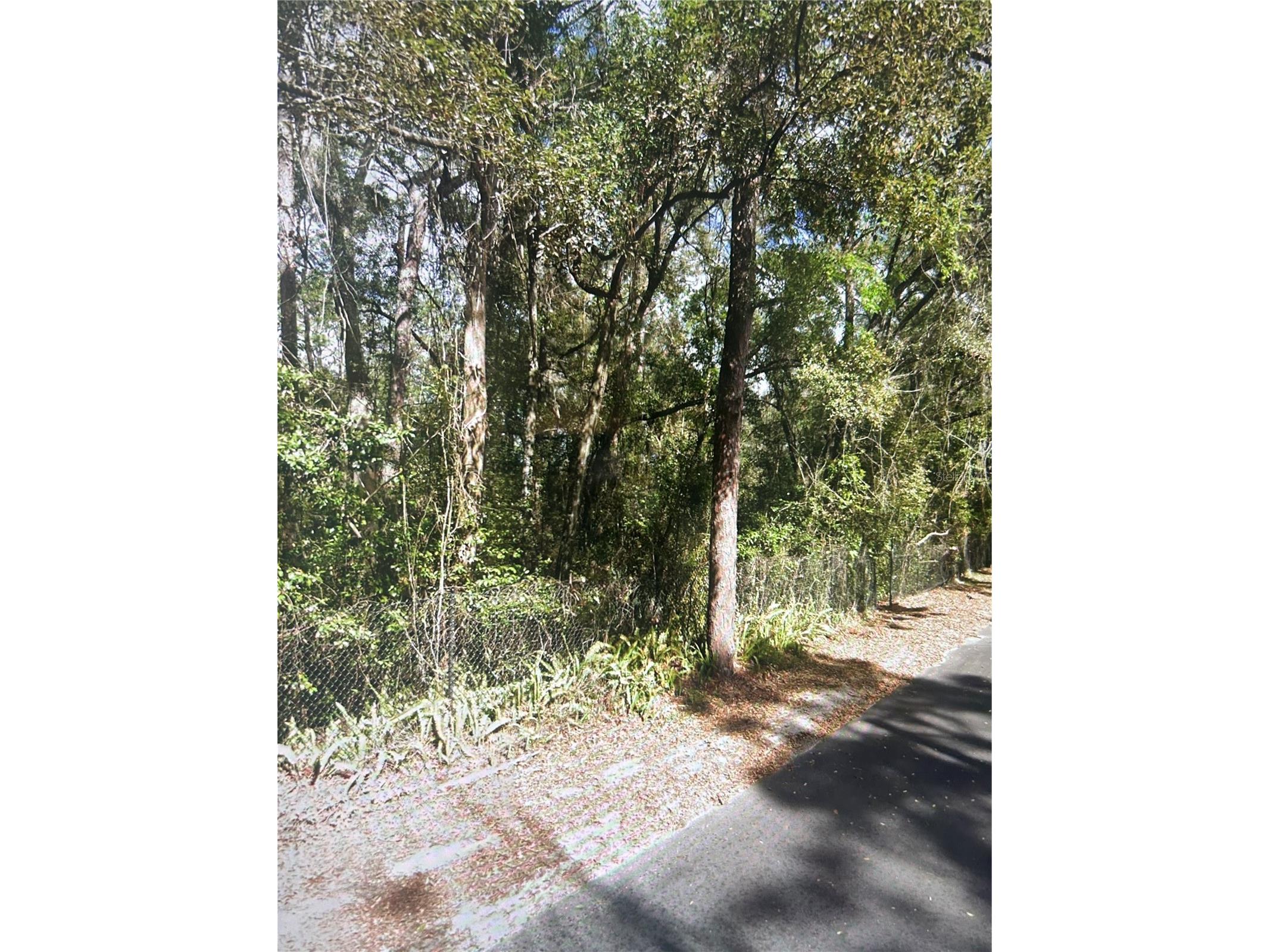 5230 Brahorn Road Apopka FL 32712 O6343175 image4