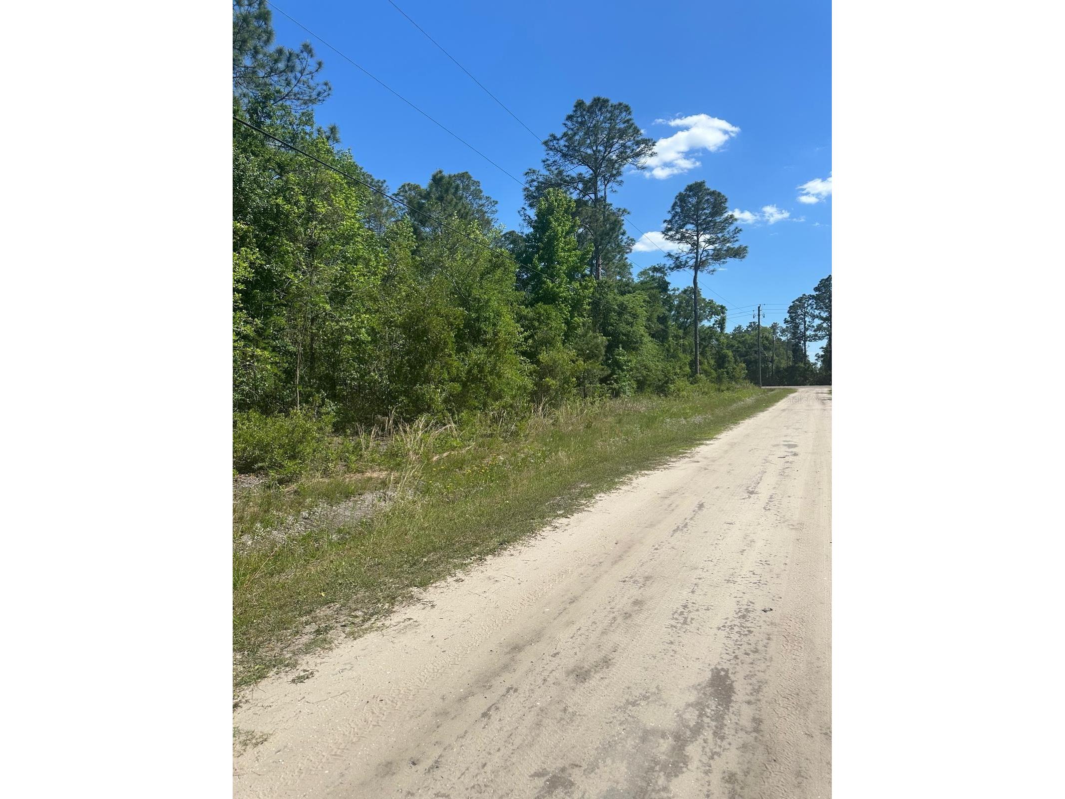 5230 Cedar Ford Boulevard Hastings FL 32145 S5148129 image10