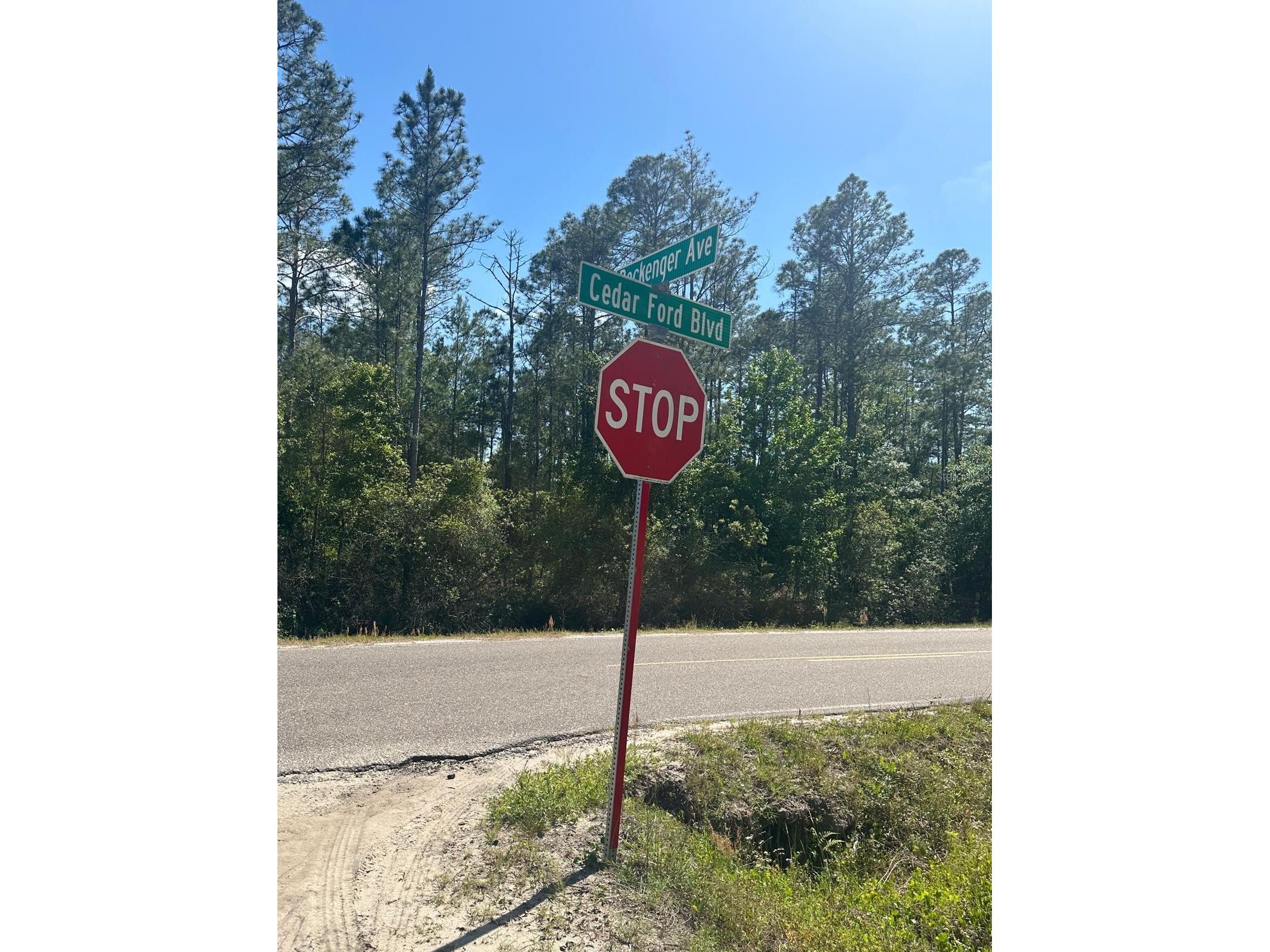 5230 Cedar Ford Boulevard Hastings FL 32145 S5148129 image6