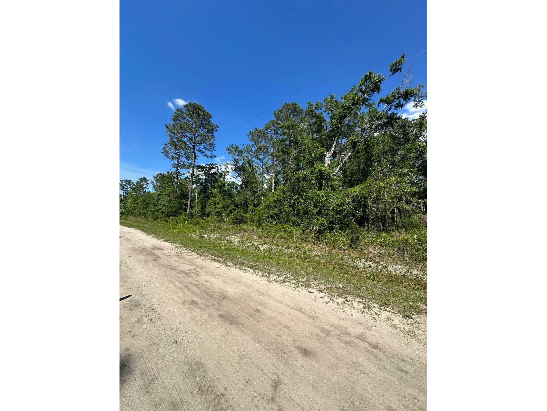 5230 Cedar Ford Boulevard Hastings FL 32145 S5148129 image7