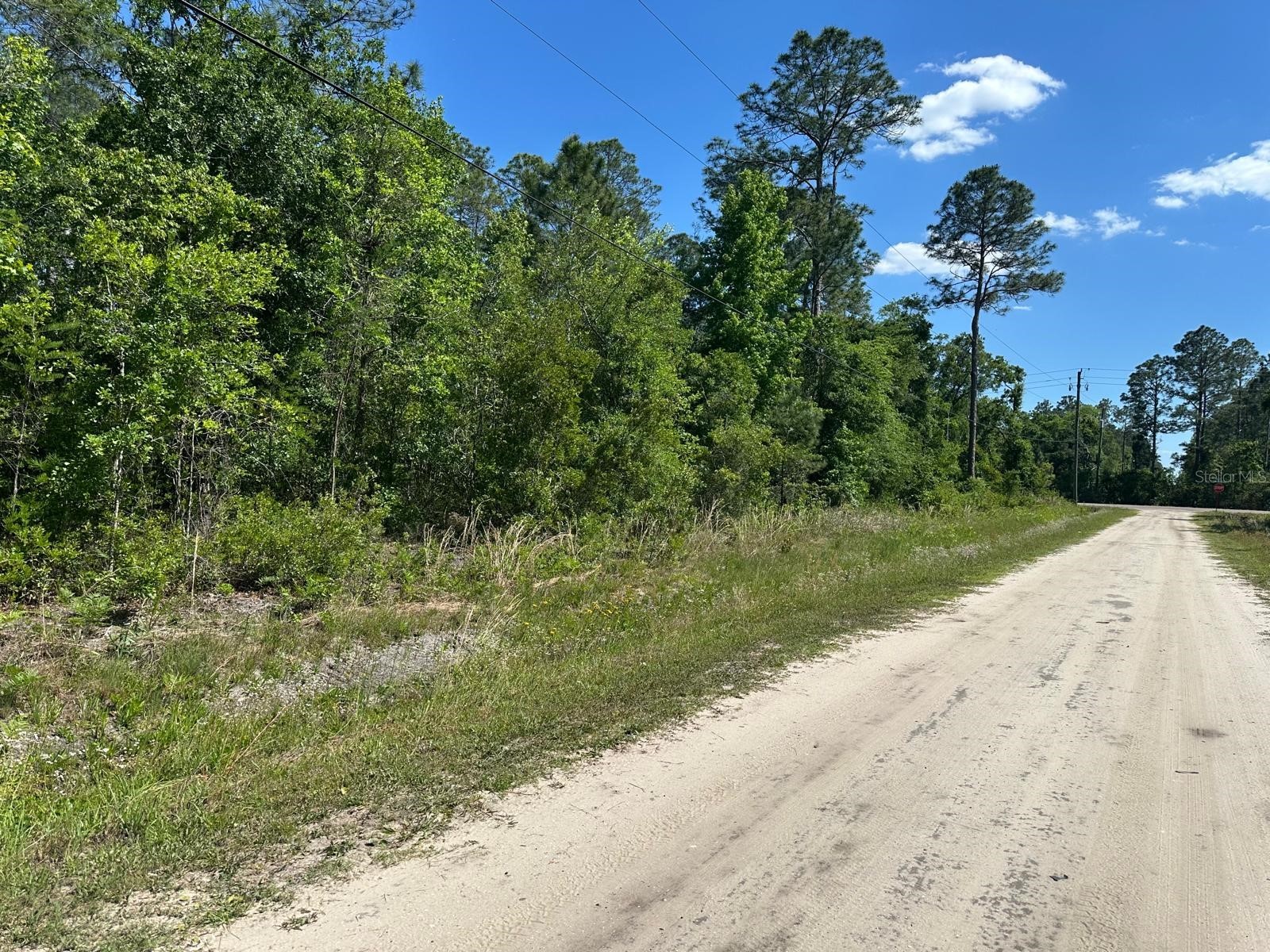 5230 Cedar Ford Boulevard Hastings FL 32145 S5148129 image9