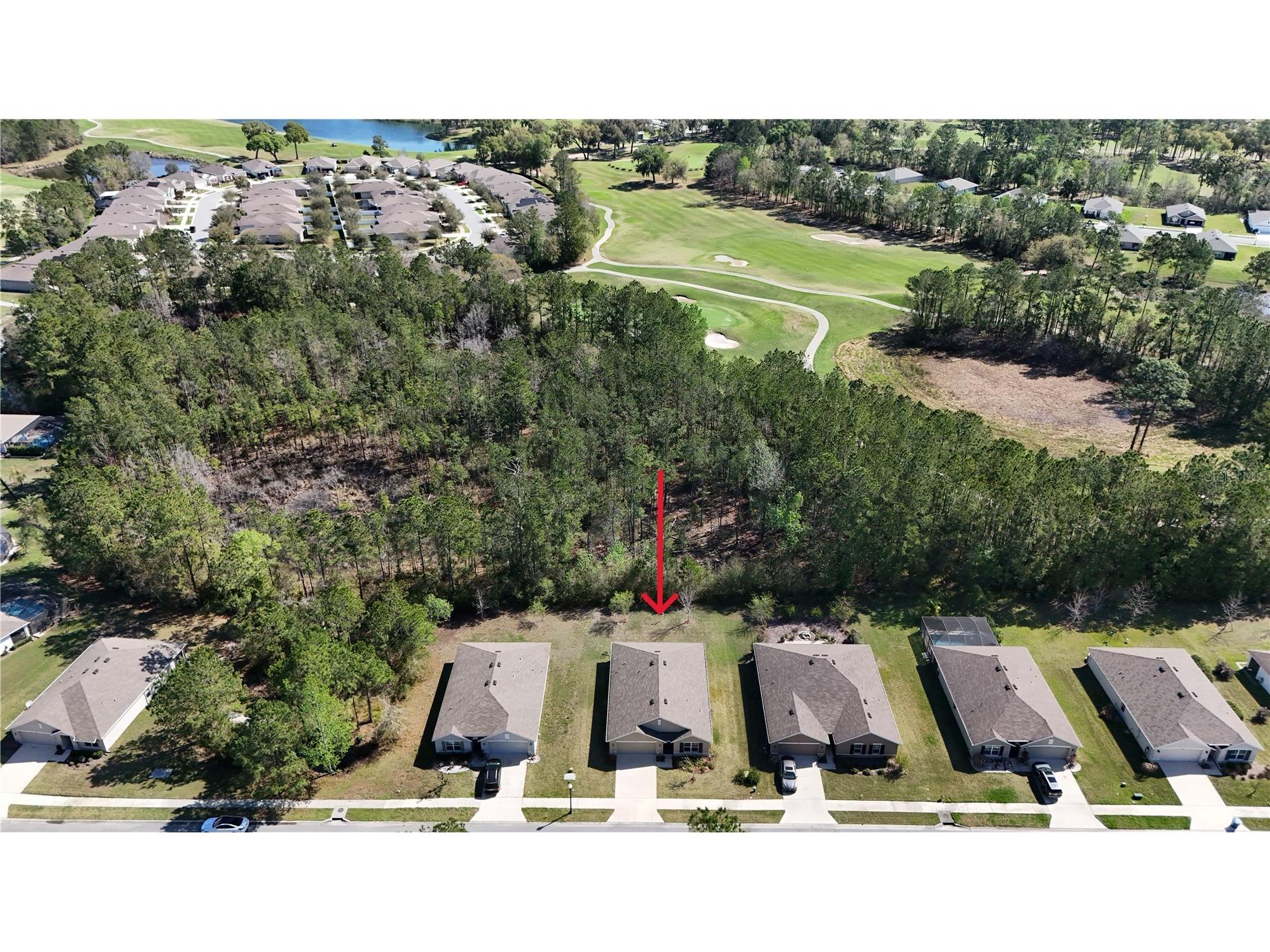 5230 Diantha Way Brooksville FL 34604 W7883877 image43