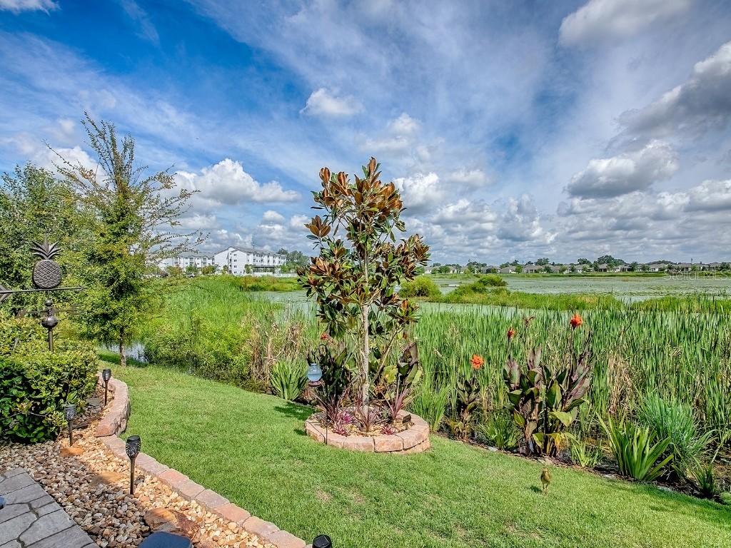 5230 Dragonfly Drive Wildwood FL 34785 G5101180 image24