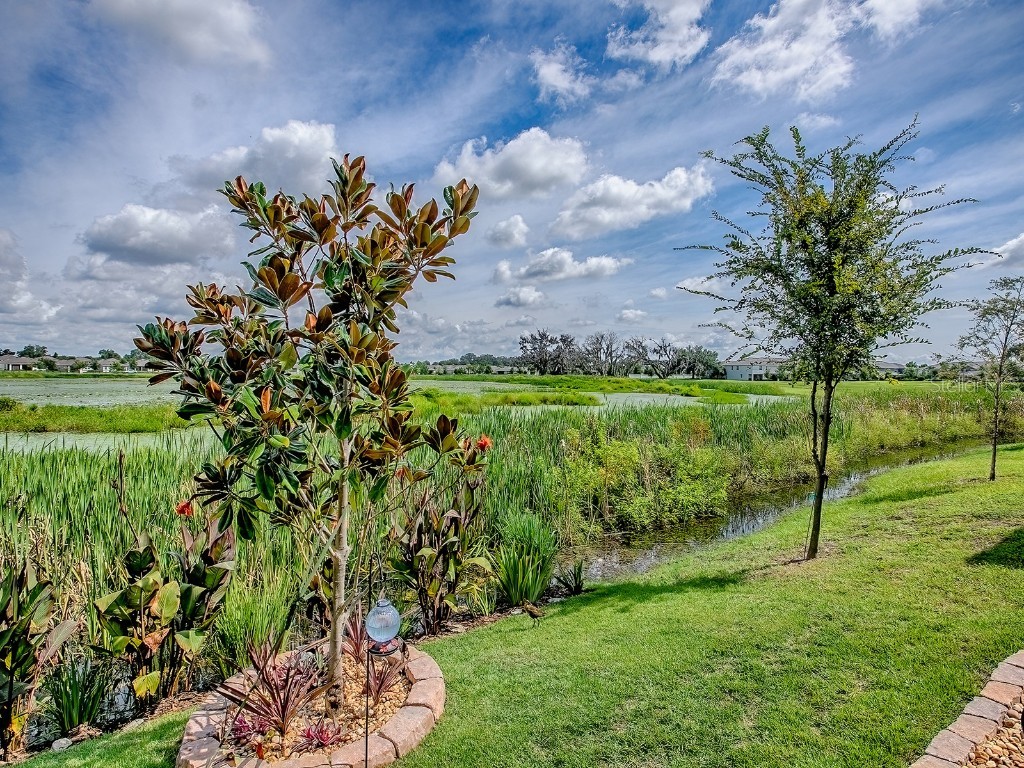 5230 Dragonfly Drive Wildwood FL 34785 G5101180 image25