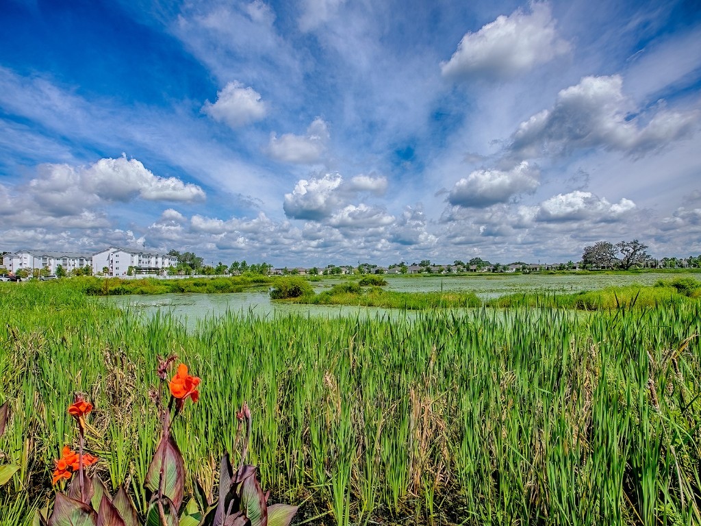 5230 Dragonfly Drive Wildwood FL 34785 G5101180 image3