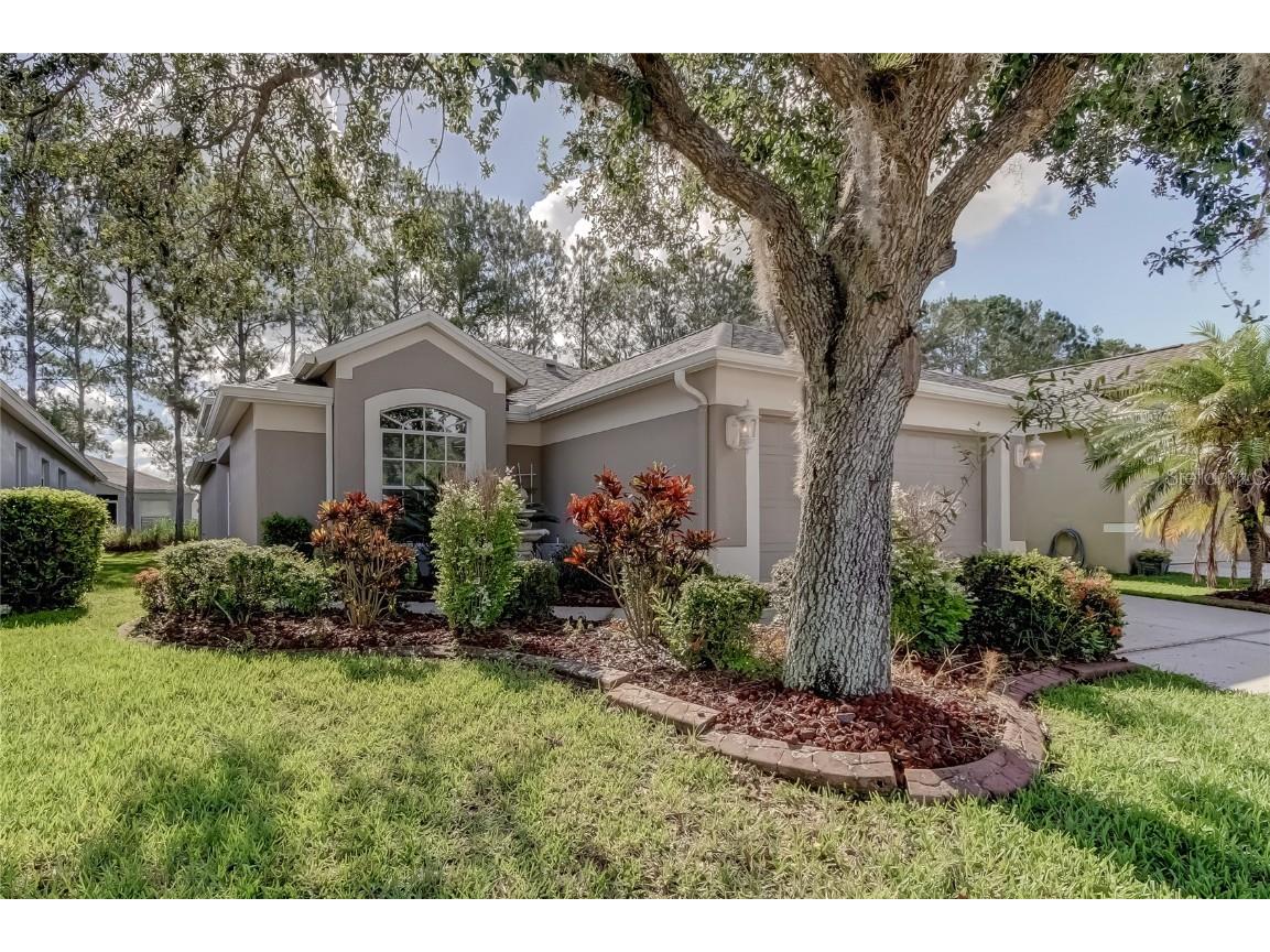 5230 Gato Del Sol Circle Wesley Chapel FL 33544 T3457815 image1