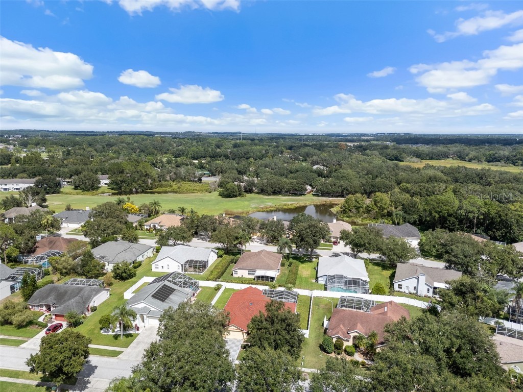 5230 Halstead Lane Zephyrhills FL 33541 TB8430479 image53