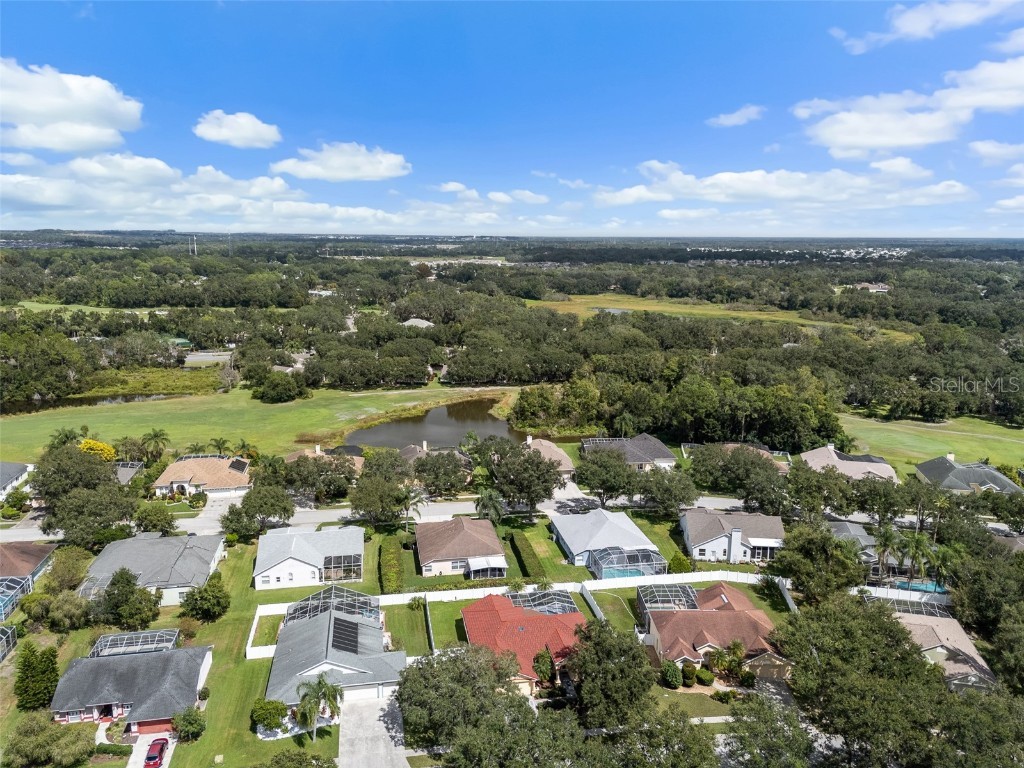 5230 Halstead Lane Zephyrhills FL 33541 TB8430479 image61