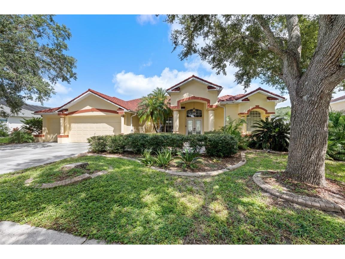 5230 Halstead Lane Zephyrhills FL 33541 TB8430479 image67