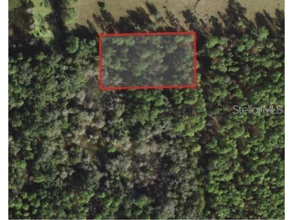 5230 N Whetstone Point Crystal River FL 34428 OM691332 image1