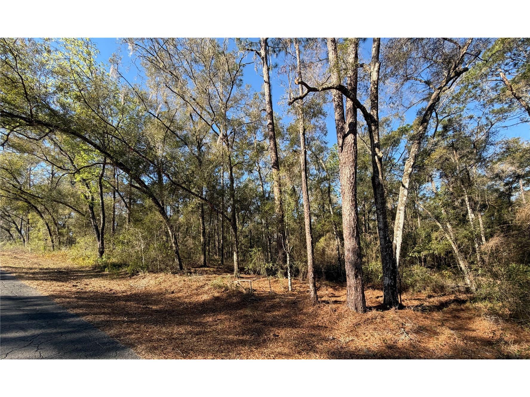 5230 S Robert Blake Avenue Inverness FL 34452 OM719418 image1