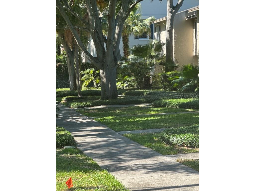 5231 Bayshore Boulevard #10 Tampa FL 33611 TB8353872 image2