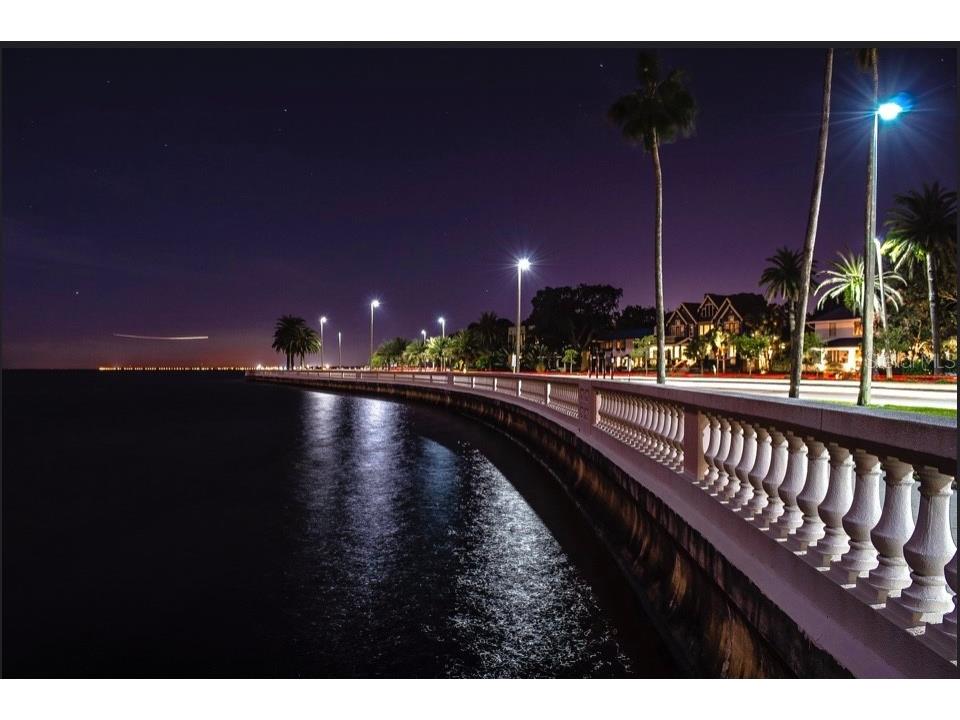 5231 Bayshore Boulevard #10 Tampa FL 33611 TB8353872 image33
