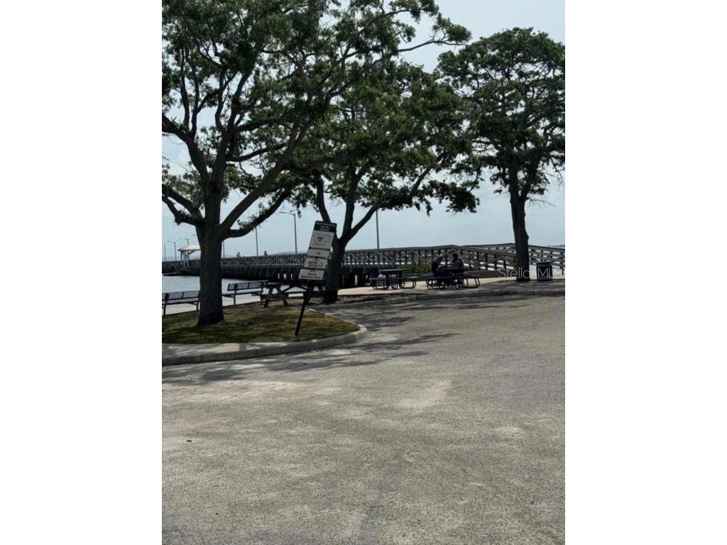 5231 Bayshore Boulevard #10 Tampa FL 33611 TB8353872 image38