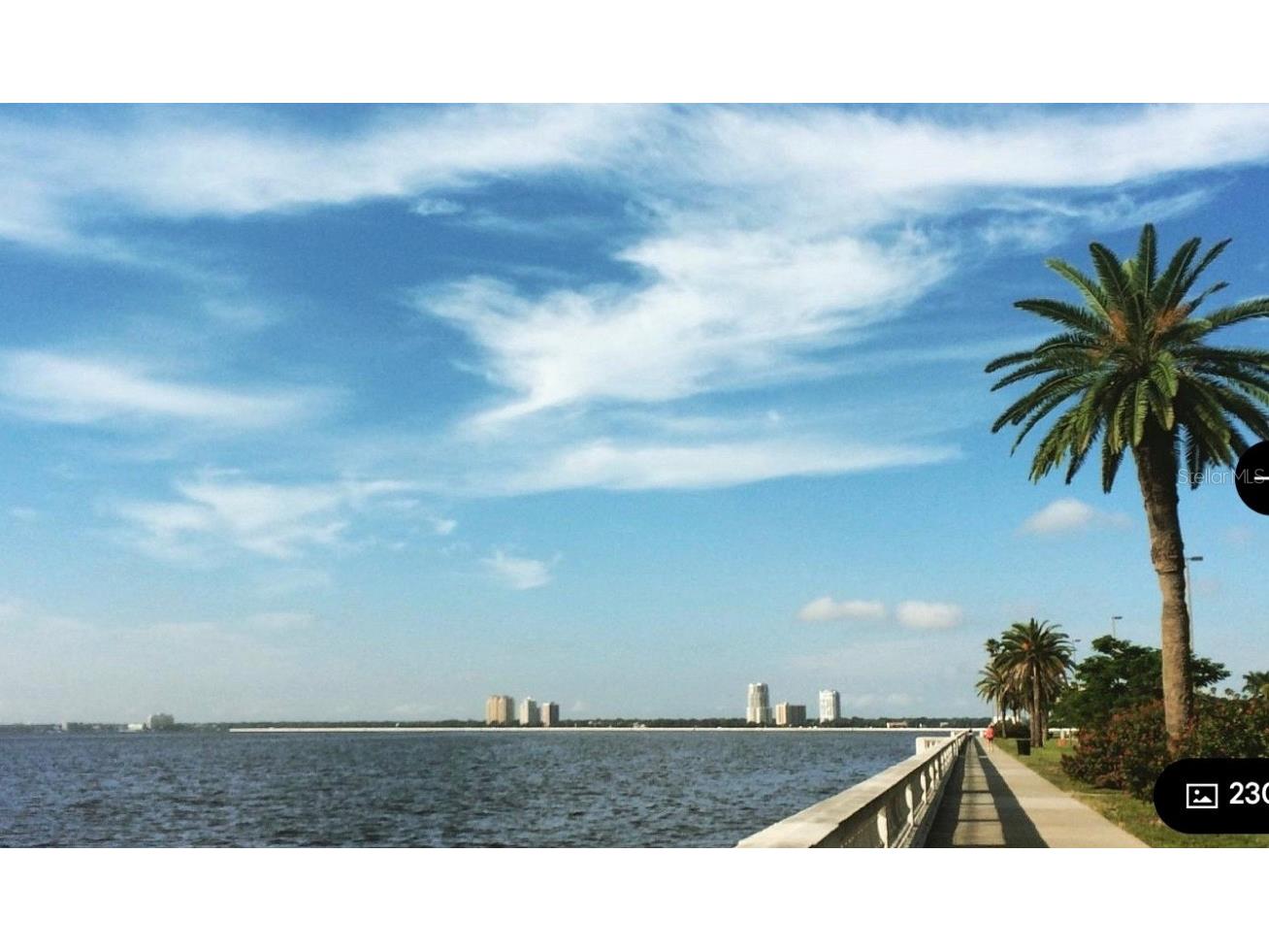 5231 Bayshore Boulevard #10 Tampa FL 33611 TB8353872 image39