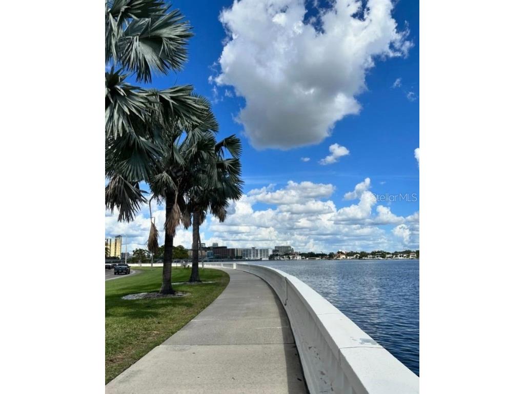 5231 Bayshore Boulevard #10 Tampa FL 33611 TB8353872 image42