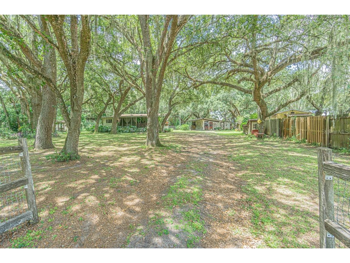 5231 Emory Drive Wesley Chapel FL 33543 T3545873 image1