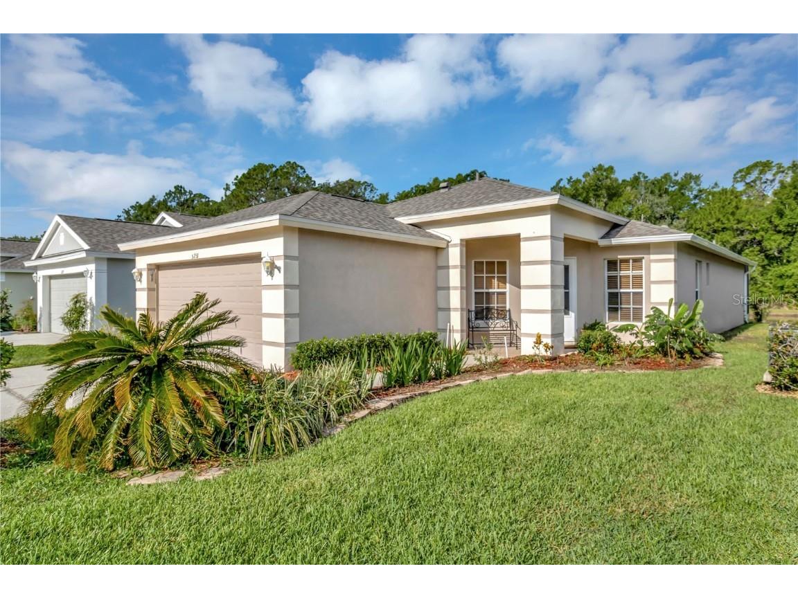 5231 Gato Del Sol Circle Wesley Chapel FL 33544 T3451114 image1