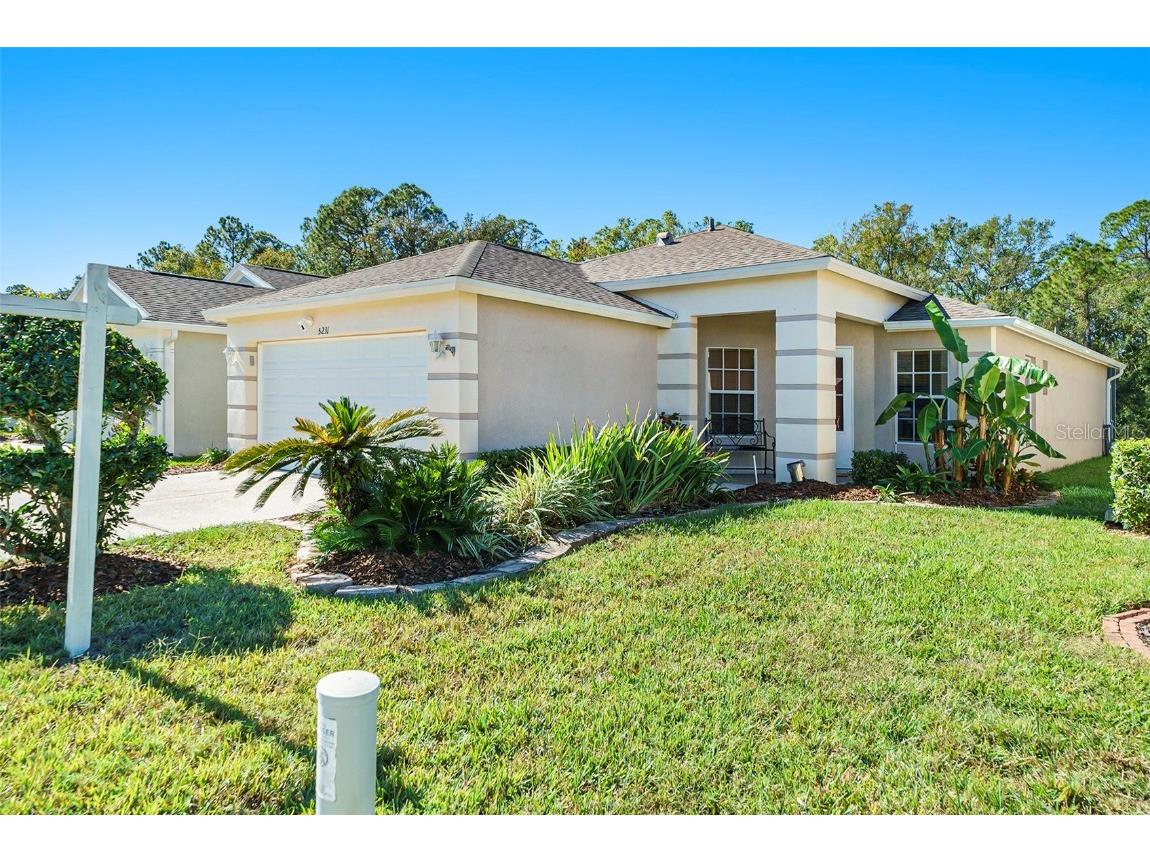 5231 Gato Del Sol Circle Wesley Chapel FL 33544 TB8323520 image1