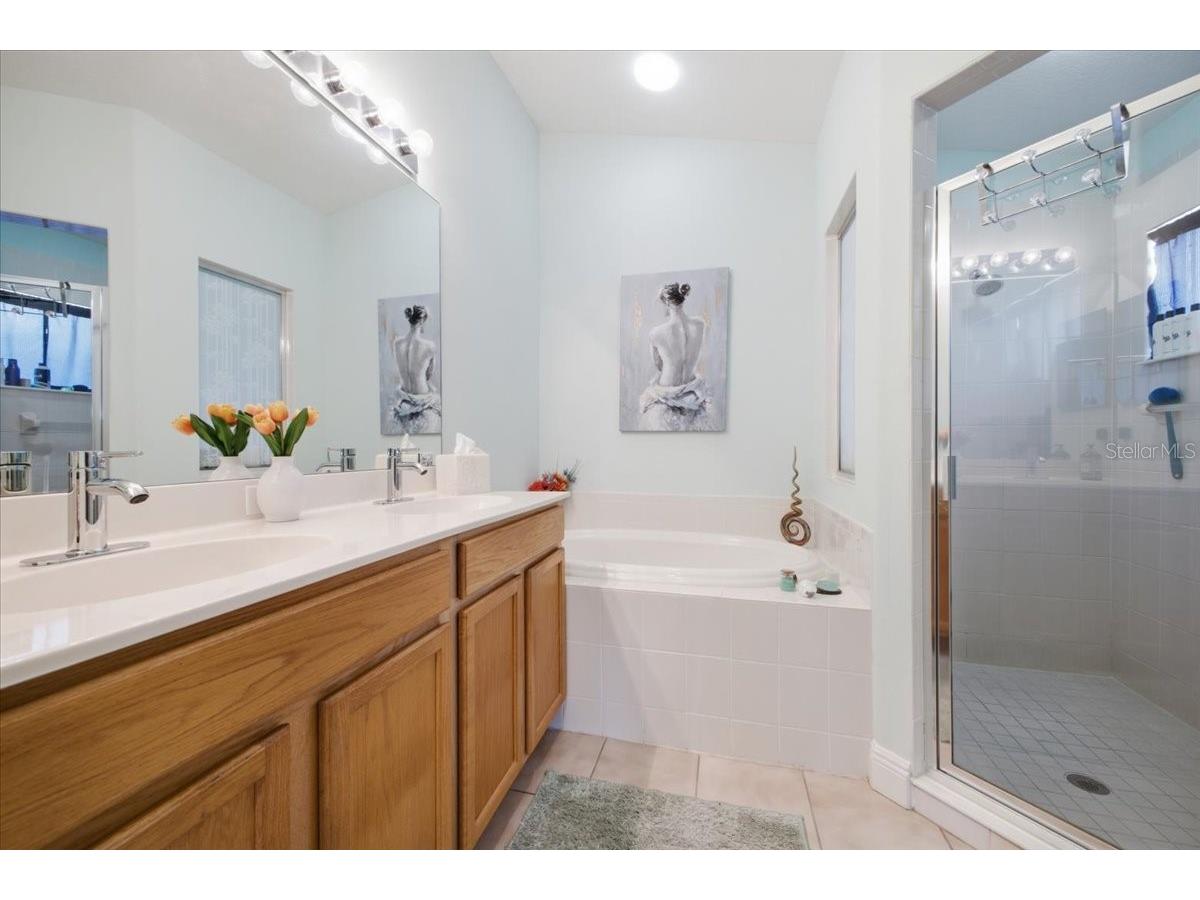 5231 Lansdowne Way Palmetto FL 34221 L4962905 image19