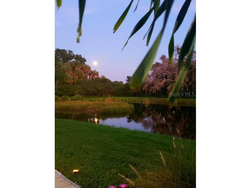 5231 Lansdowne Way Palmetto FL 34221 L4962905 image31
