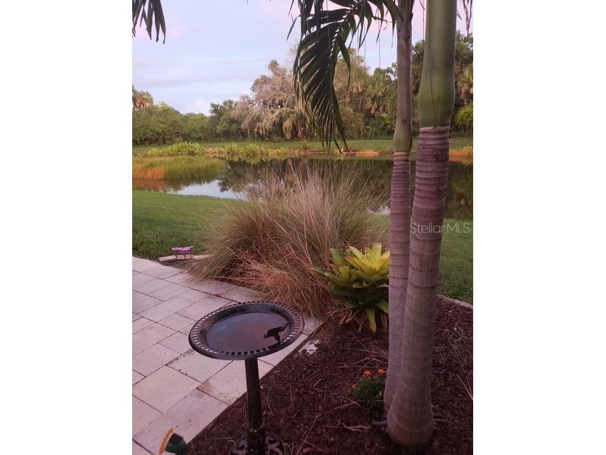 5231 Lansdowne Way Palmetto FL 34221 L4962905 image32