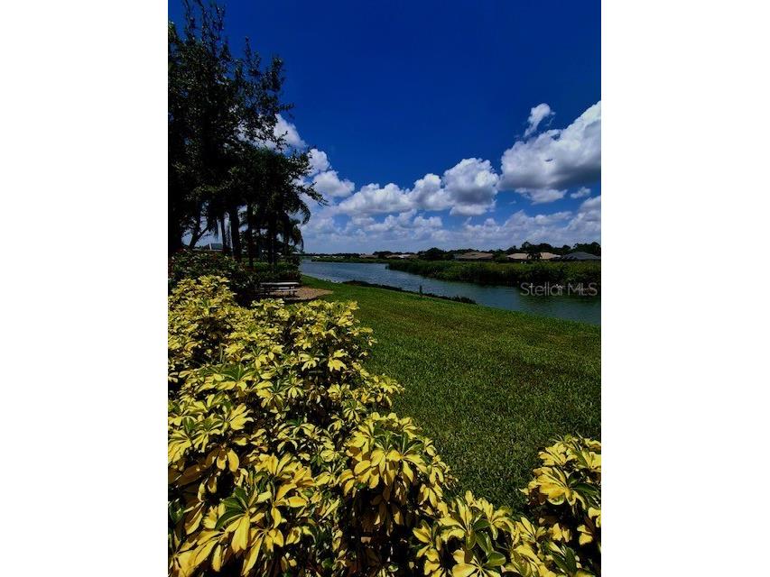 5231 Lansdowne Way Palmetto FL 34221 L4962905 image36