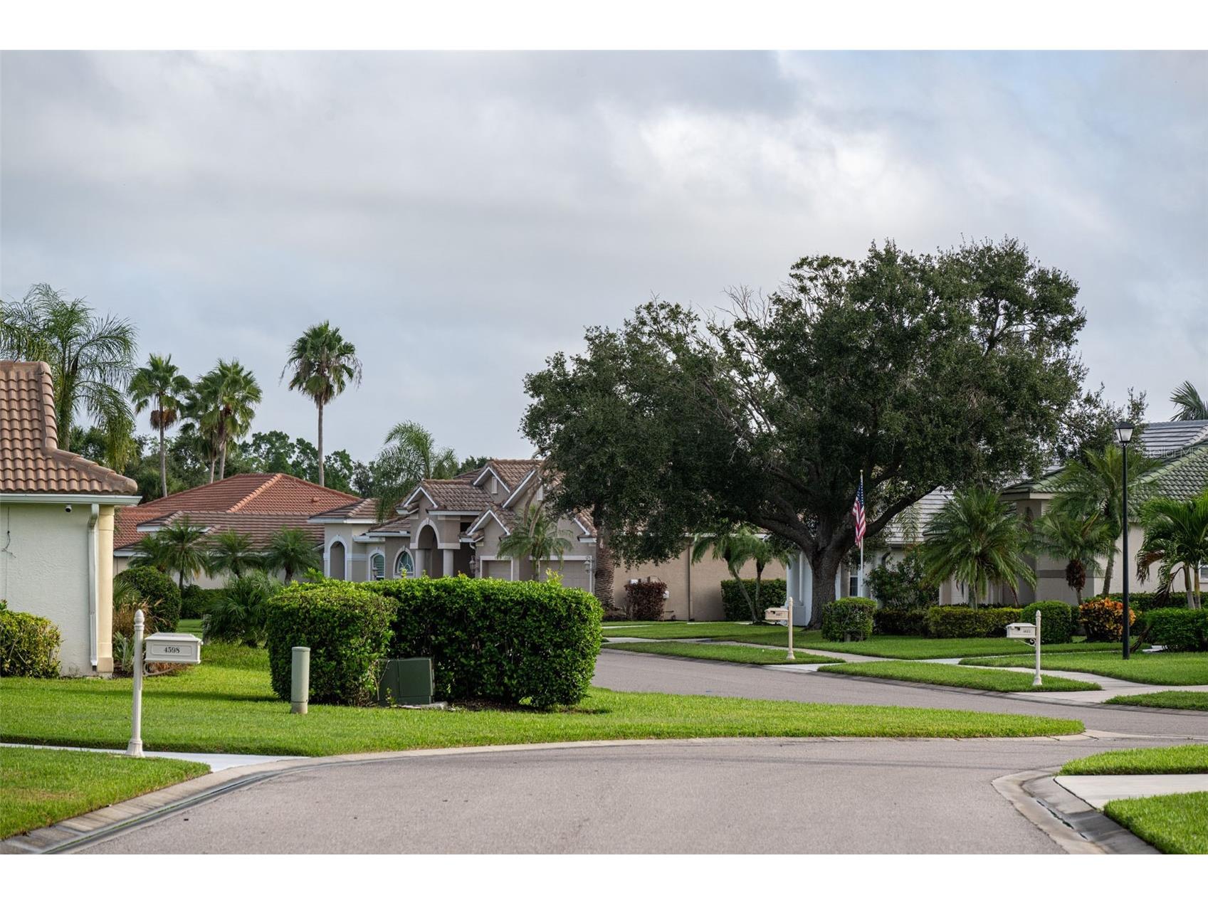 5231 Mahogany Run Avenue #325 Sarasota FL 34241 TB8500121 image65